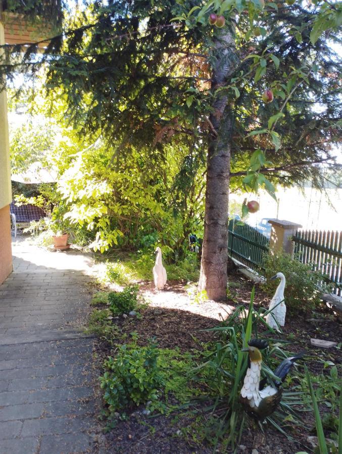 B&B Family Basement Apartment, Breakfast, Free Parking, 5Km From Tulln Chorherrn Εξωτερικό φωτογραφία