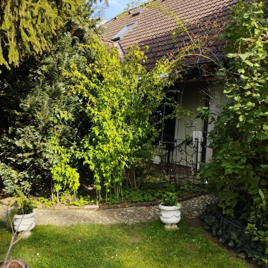 B&B Family Basement Apartment, Breakfast, Free Parking, 5Km From Tulln Chorherrn Εξωτερικό φωτογραφία